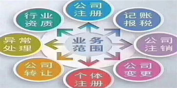 南昌縣專業(yè)服務(wù)市場調(diào)研 商標(biāo)、審計(jì)與信息技術(shù)咨詢價(jià)格參考